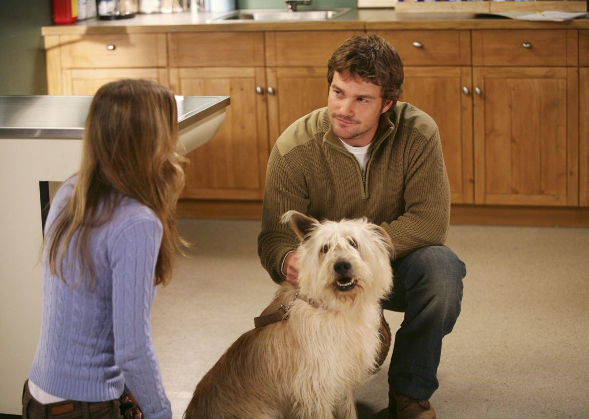Come Si Chiamava Il Cane Della Storia Infinita