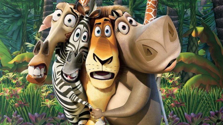 Come Si Chiama La Zebra Di Madagascar