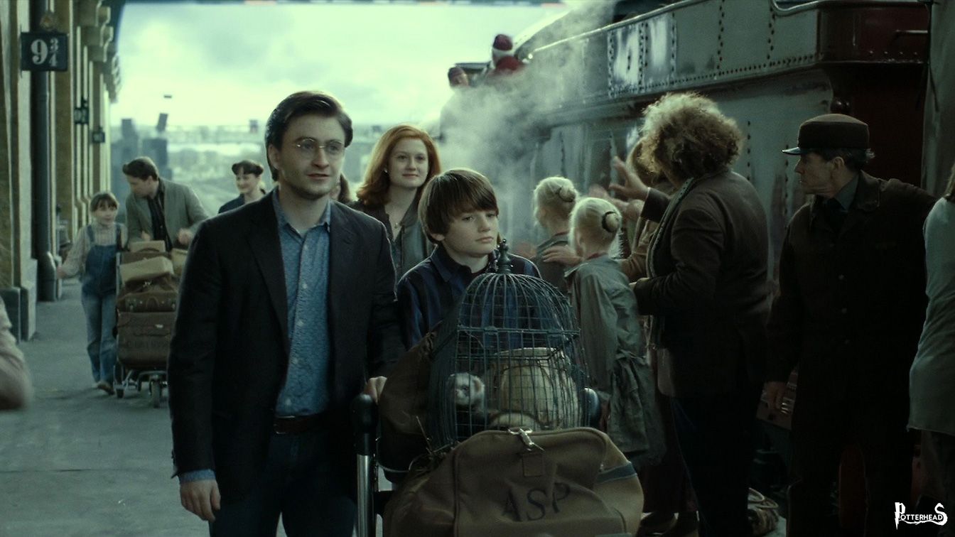 Come Si Chiama Il Cugino Di Harry Potter