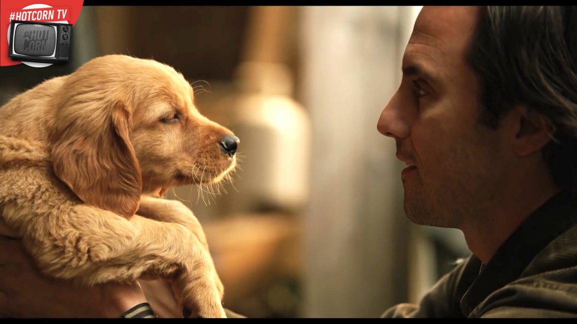 Attraverso I Miei Occhi Voce Del Cane