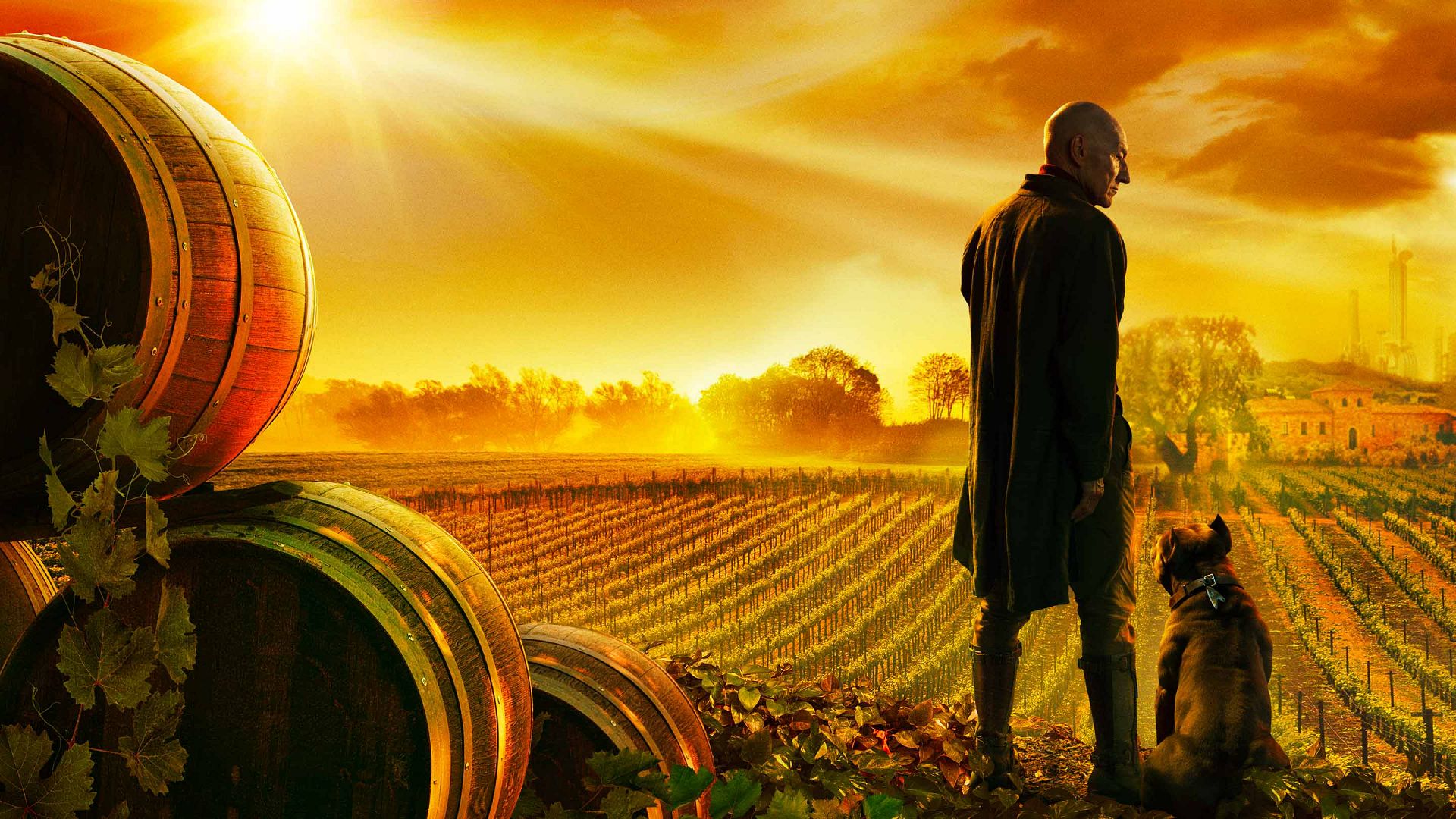 star trek picard