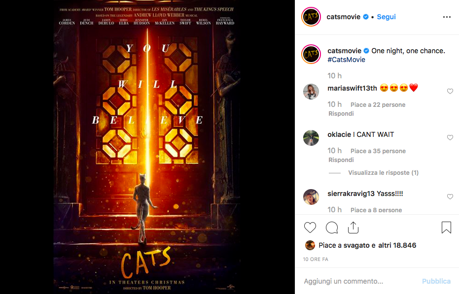 cats