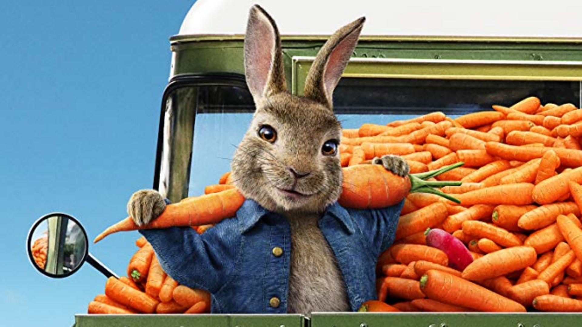 Peter Rabbit 2 - Un Birbante In Fuga
