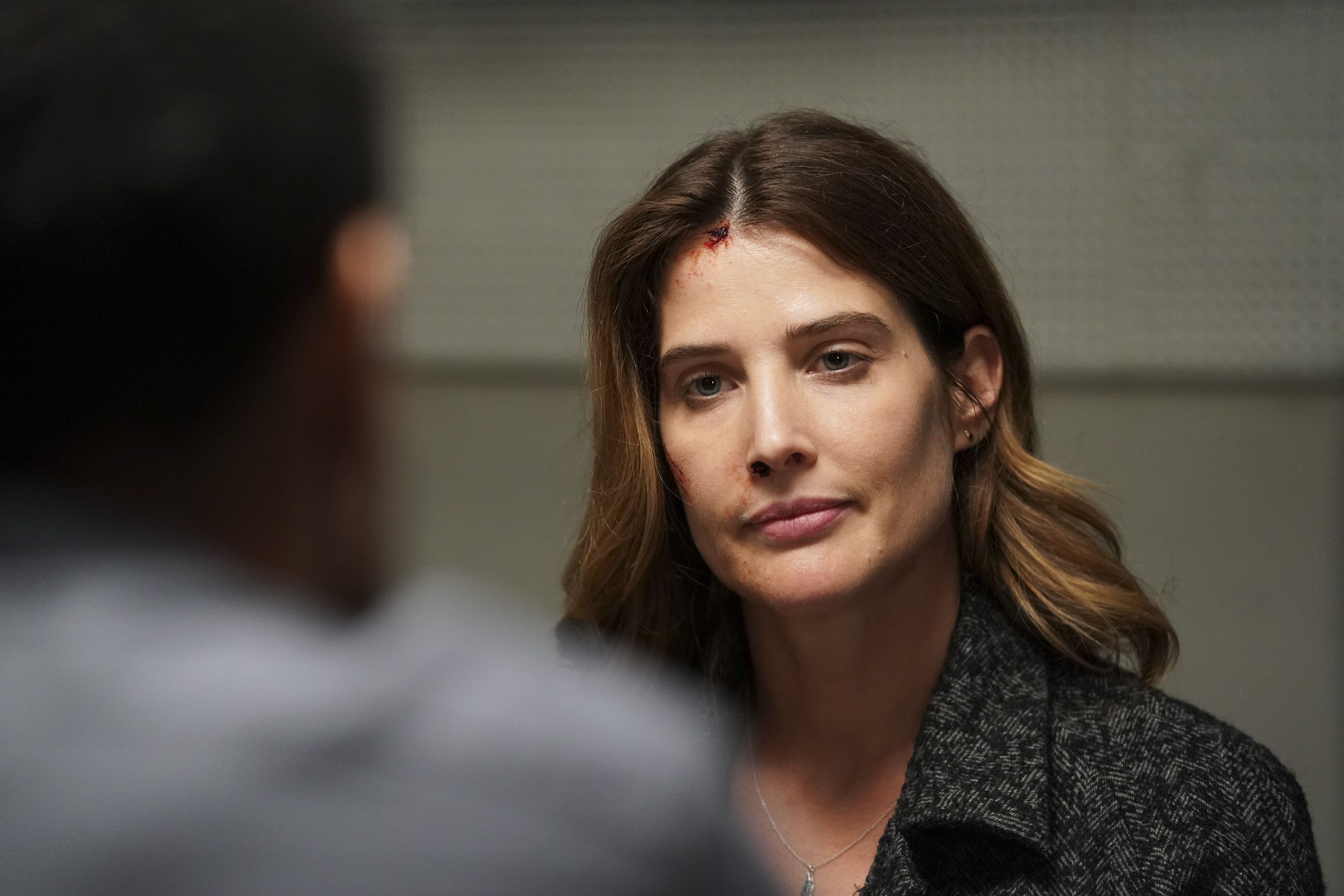 Film E Programmi Tv Di Cobie Smulders
