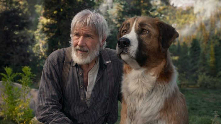 Attori Del Film Il Richiamo Della Foresta