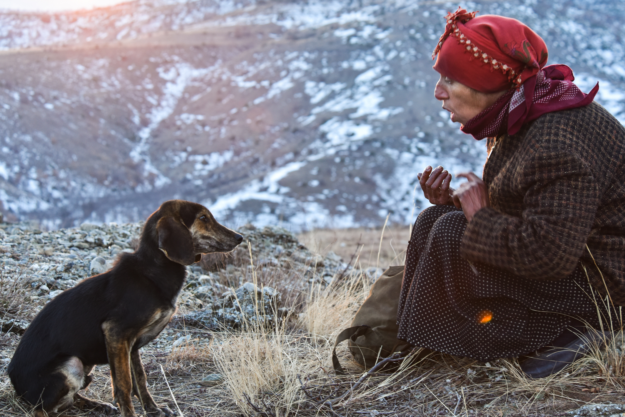 Una scena di Honeyland