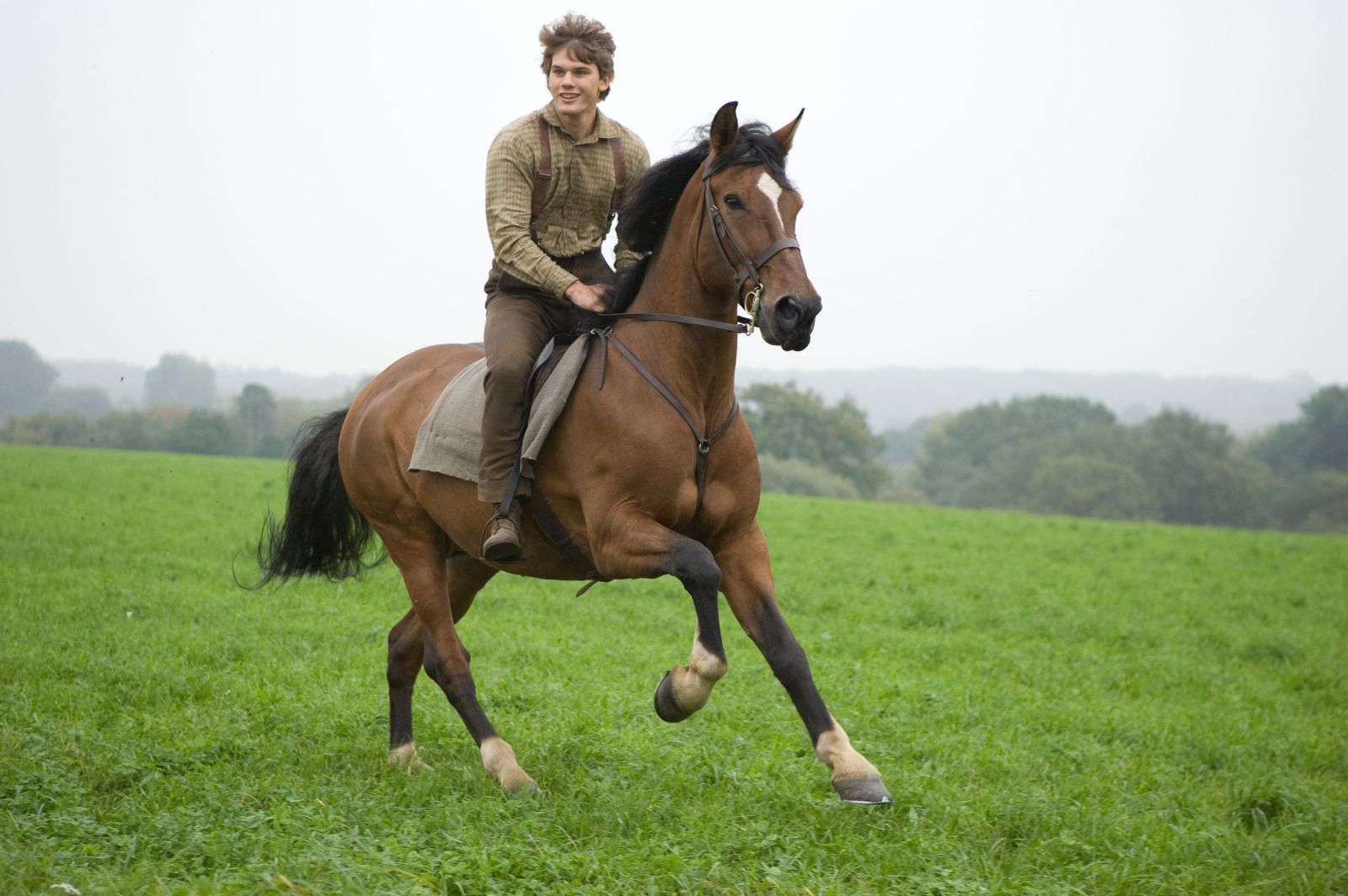 War Horse