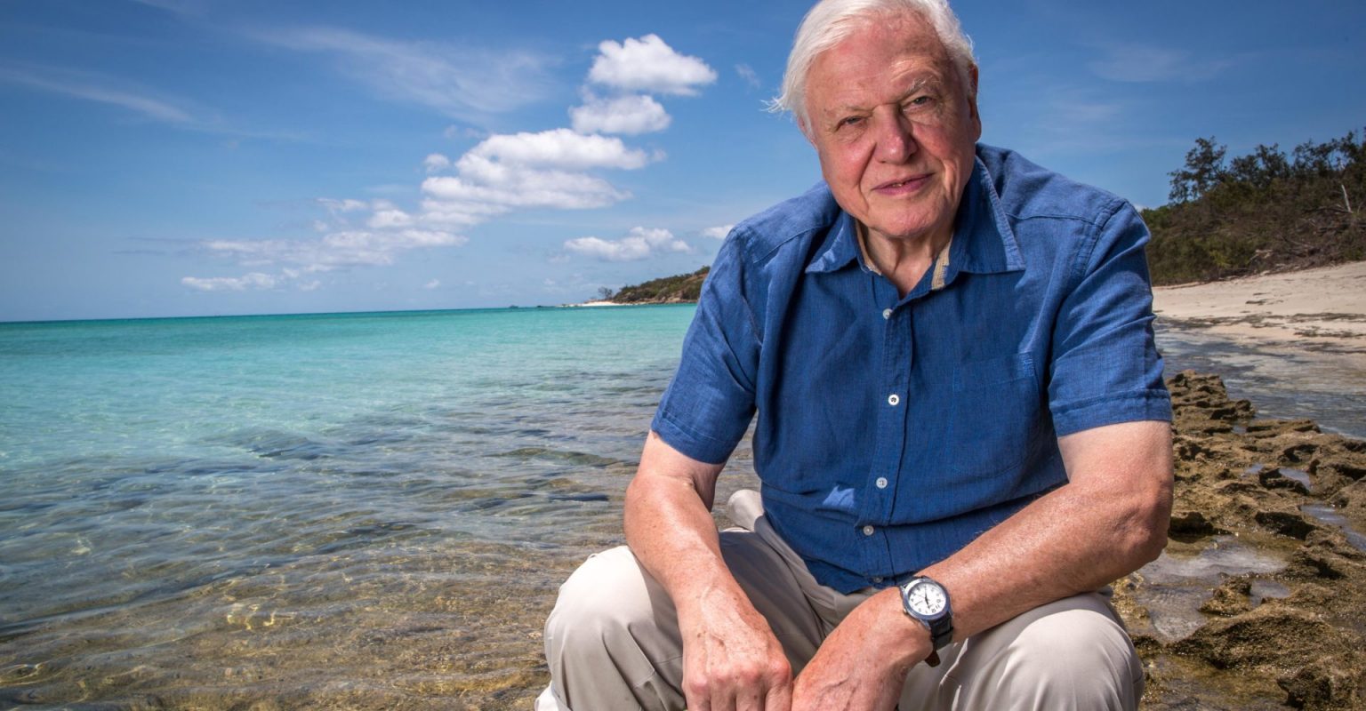 Blue II, David Attenborough e la grande magia dell'oceano