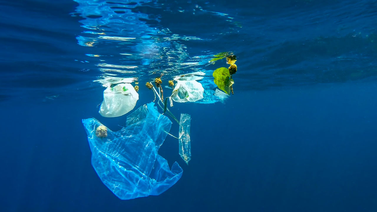 Blue planet