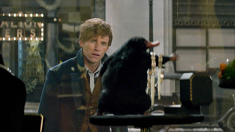 Animali Fantastici e dove trovarli