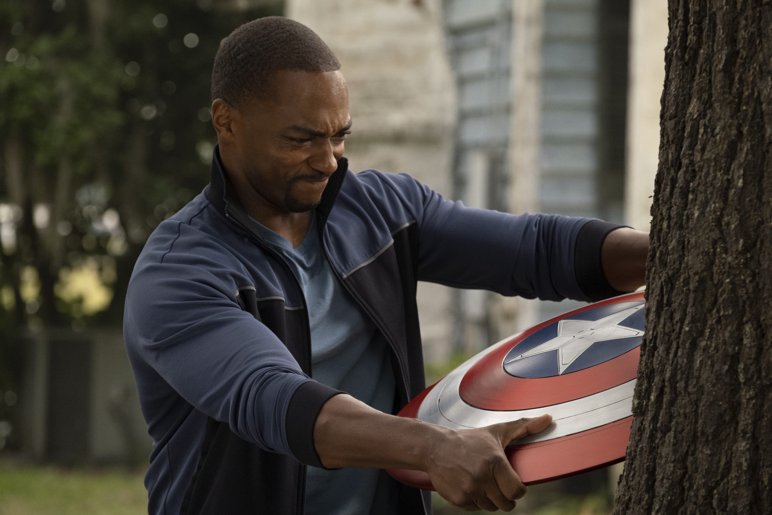The Falcon and the winter soldier