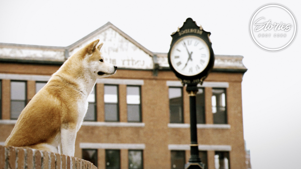 Hachiko | Richard Gere, un cane Akita e la storia vera dietro al film