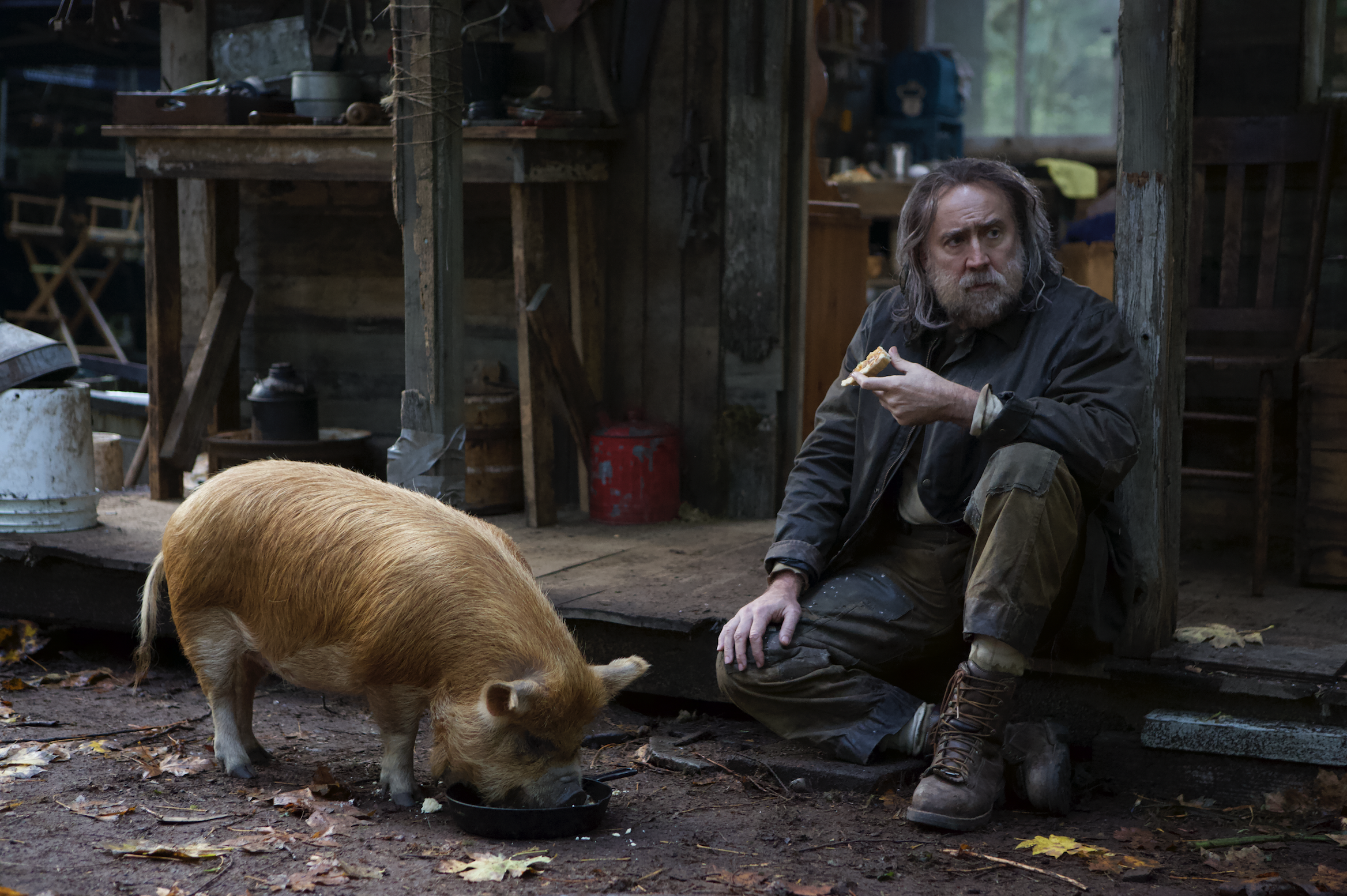 La maialina Brandy e Nicolas Cage in Pig