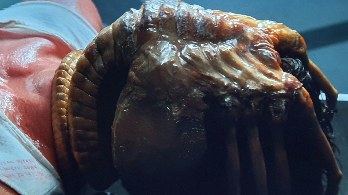 L'ormai mitico Facehugger di Alien