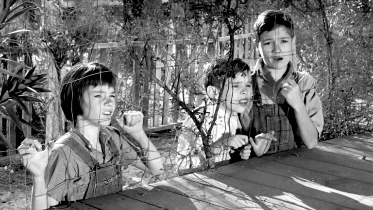 Il Buio Oltre La Siepe Cast Il buio oltre la siepe | Gregory Peck e i sessant'anni di Atticus Finch