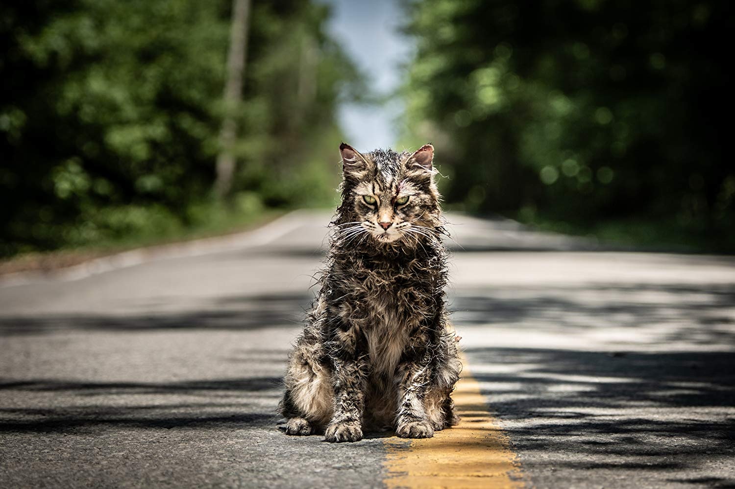 Pet Sematary Official Trailer The HotCorn