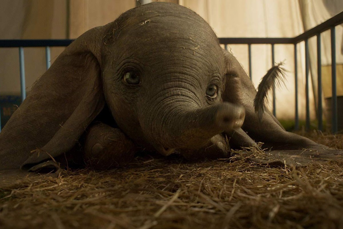 REVIEW | Tim Burton's Dumbo is a soaring tear-jerker â€“ The HotCorn