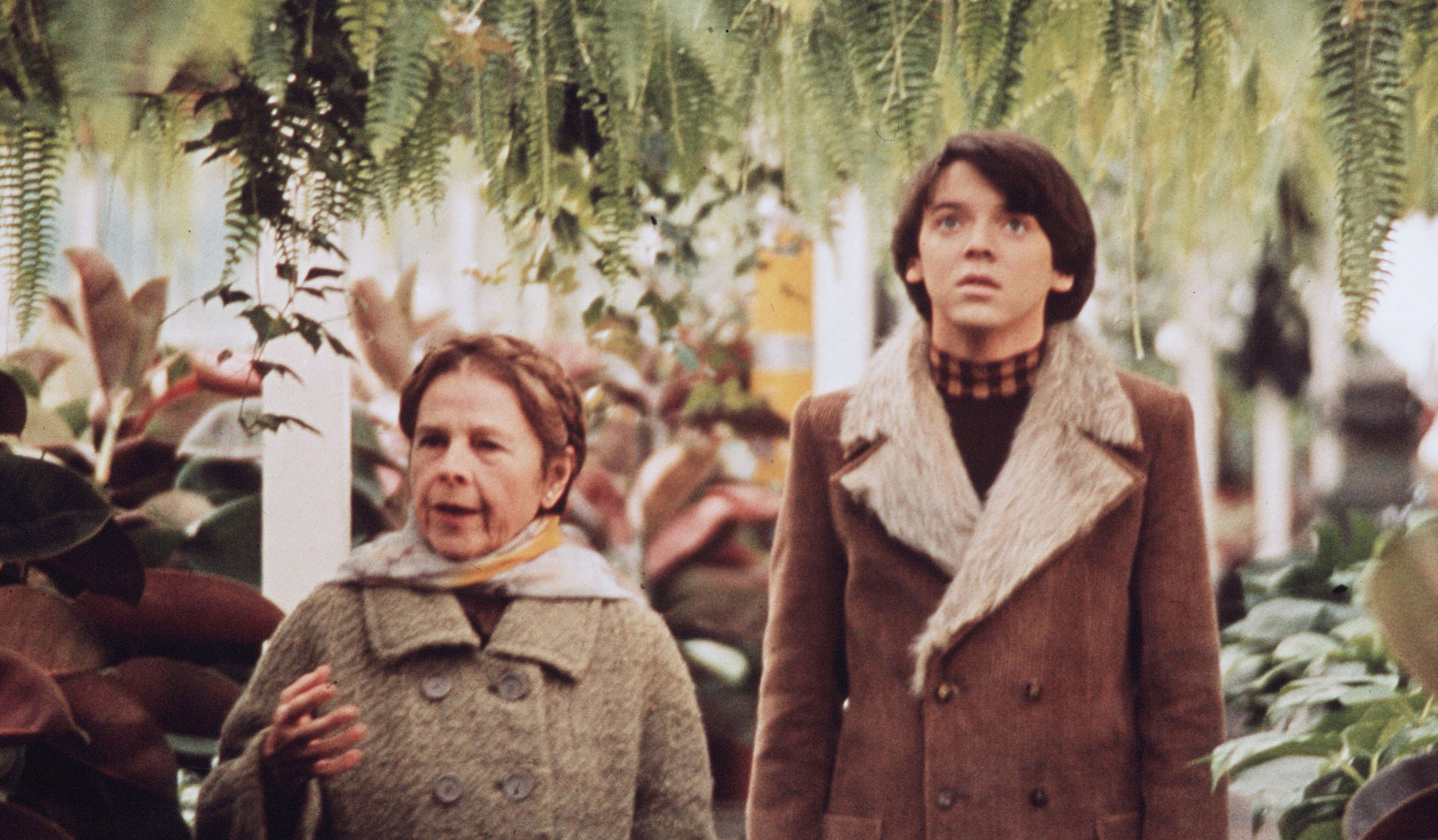 Ruth Gordon and Bud Cort as Maude and Harold